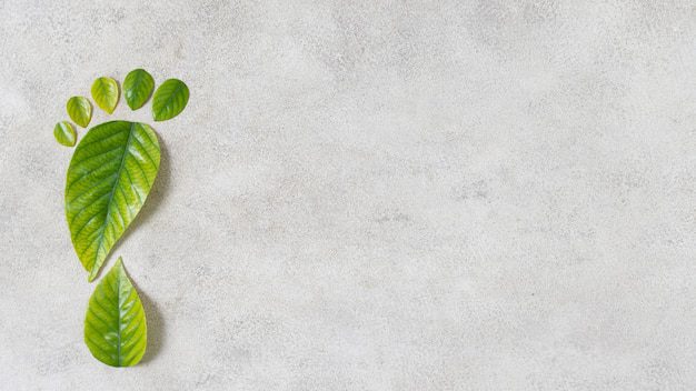 stilleben-nachhaltige-lifestyle-elemente-komposition